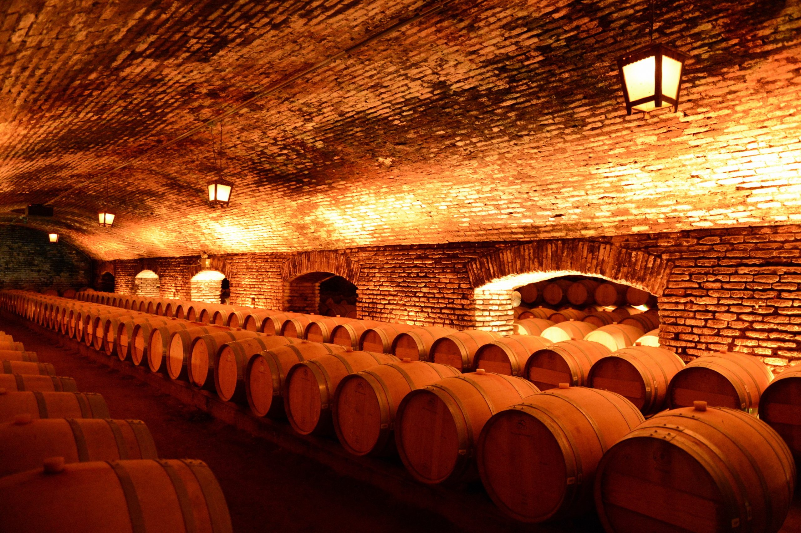 Concha y Toro - Tour Nocturno con cena 3