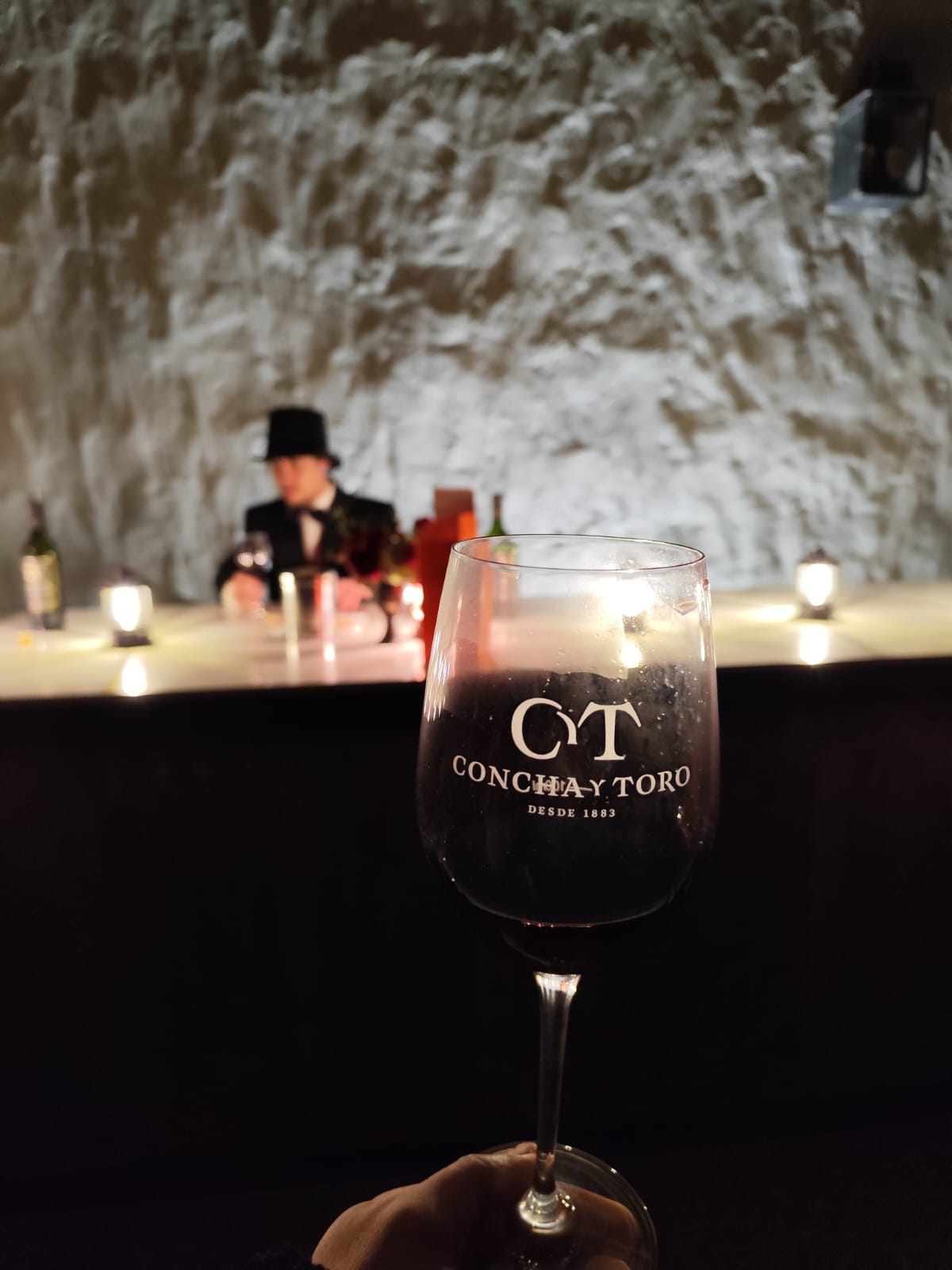 Concha y Toro - Tour Nocturno con cena 5