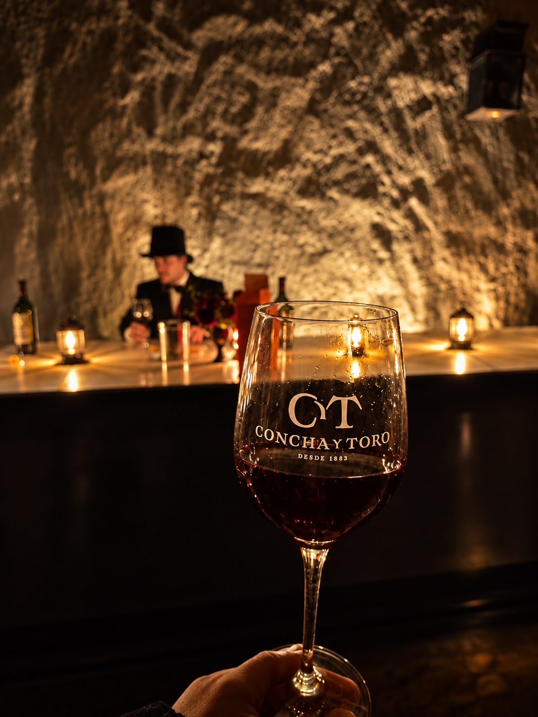 Concha y Toro - Night Tour with Dinner 4