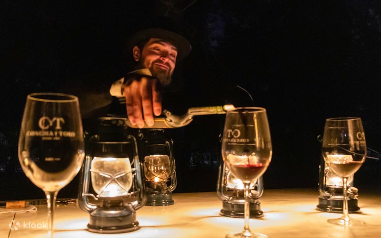 Concha y Toro - Tour Nocturno con cena 1