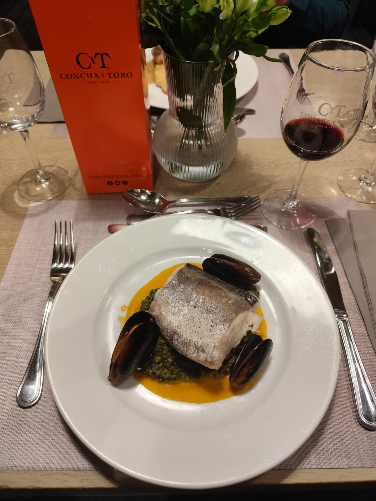 Concha y Toro - Tour Nocturno con cena 6