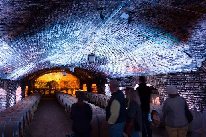 Concha y Toro - Tour Nocturno con cena 5