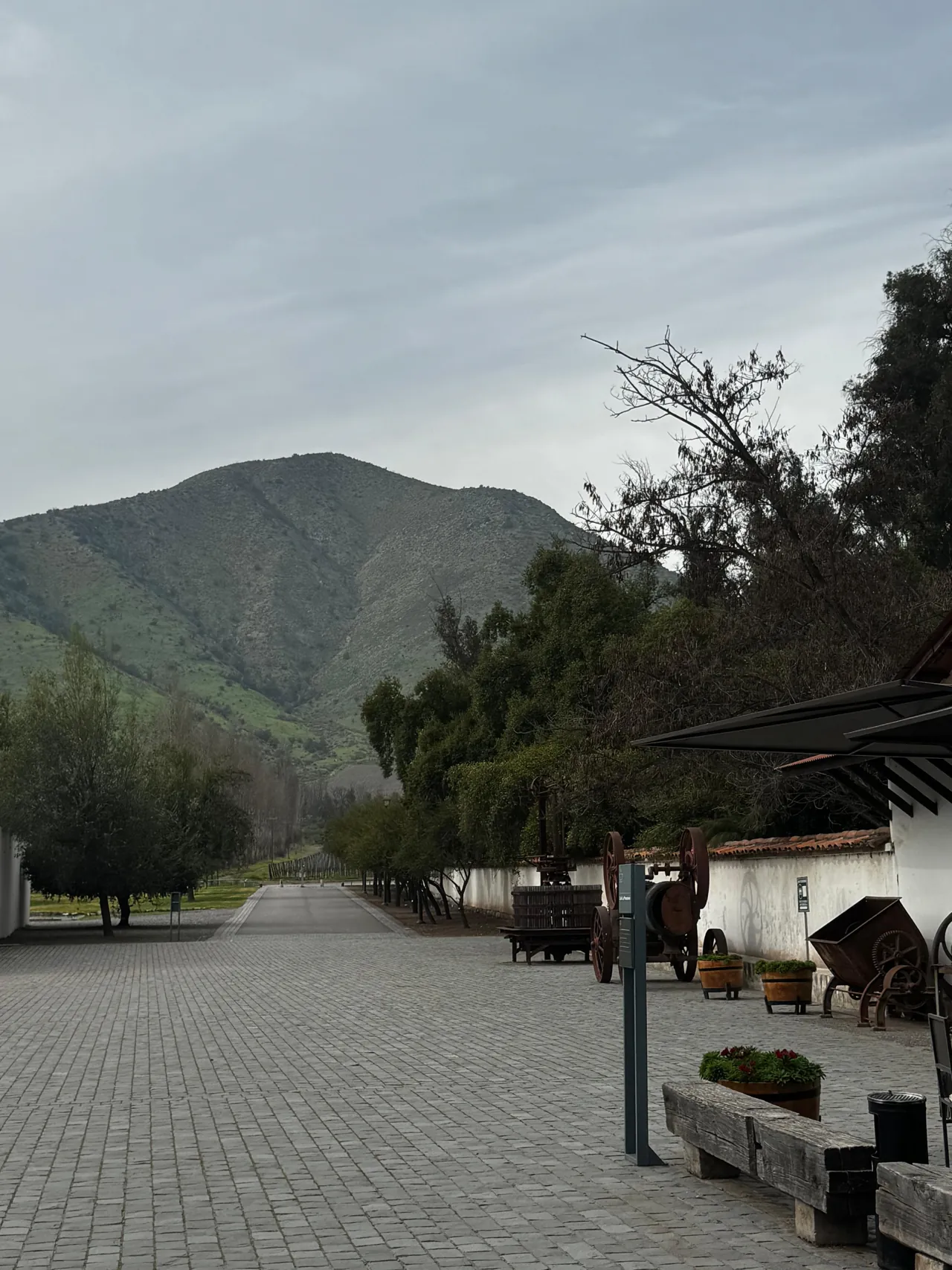Santa Rita Winery - Premium Tour 1