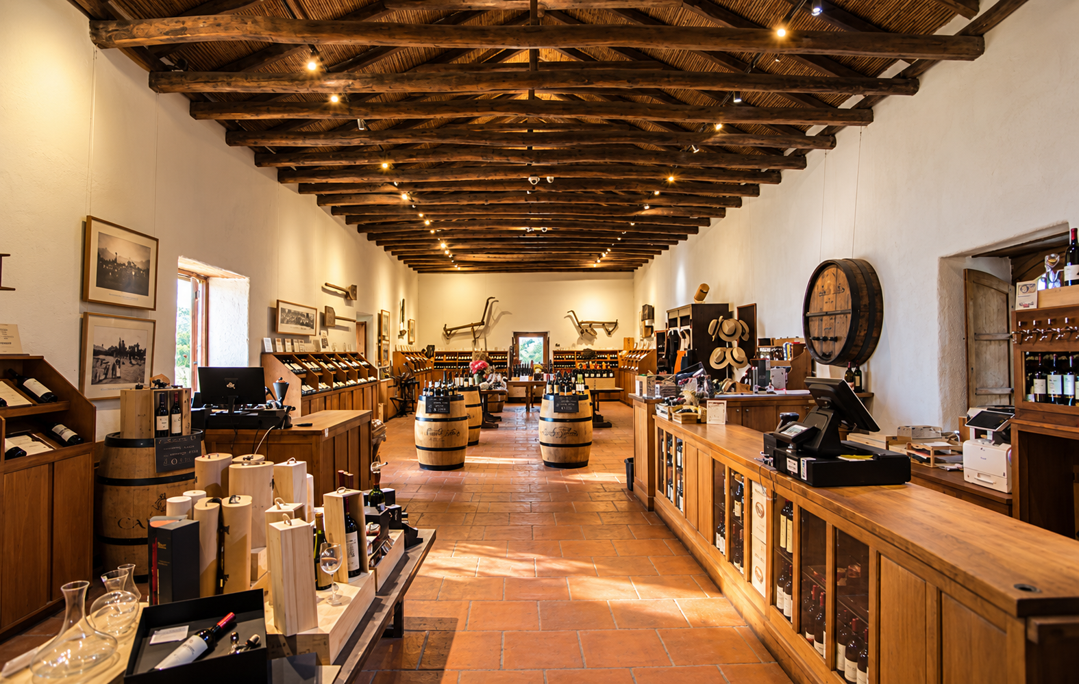 Vinícola Santa Rita - Tour Premium 4