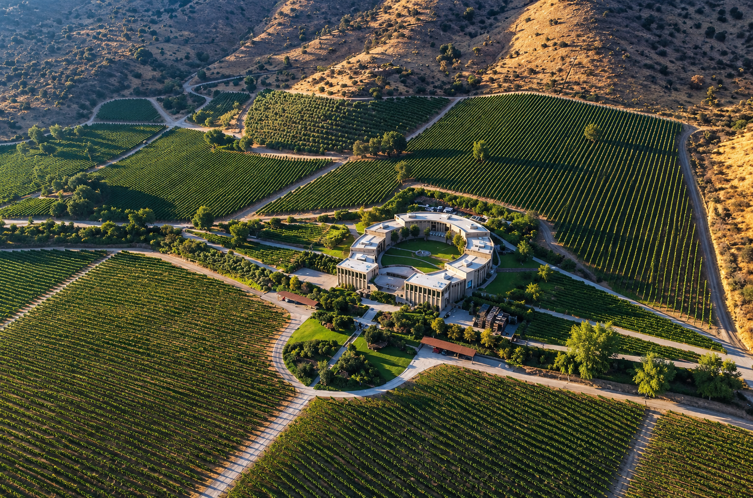 Santa Rita Winery - Premium Tour 3