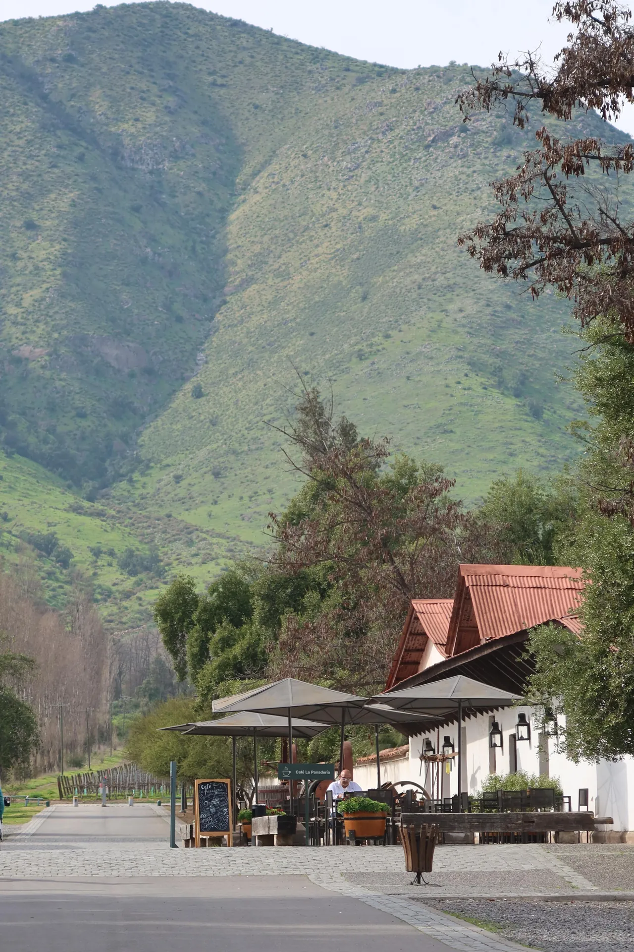 Santa Rita Winery - Premium Tour 4