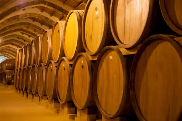 Concha y Toro – Tour Tradicional 3