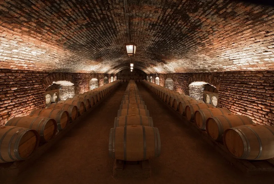 Concha y Toro – Tour Tradicional 4