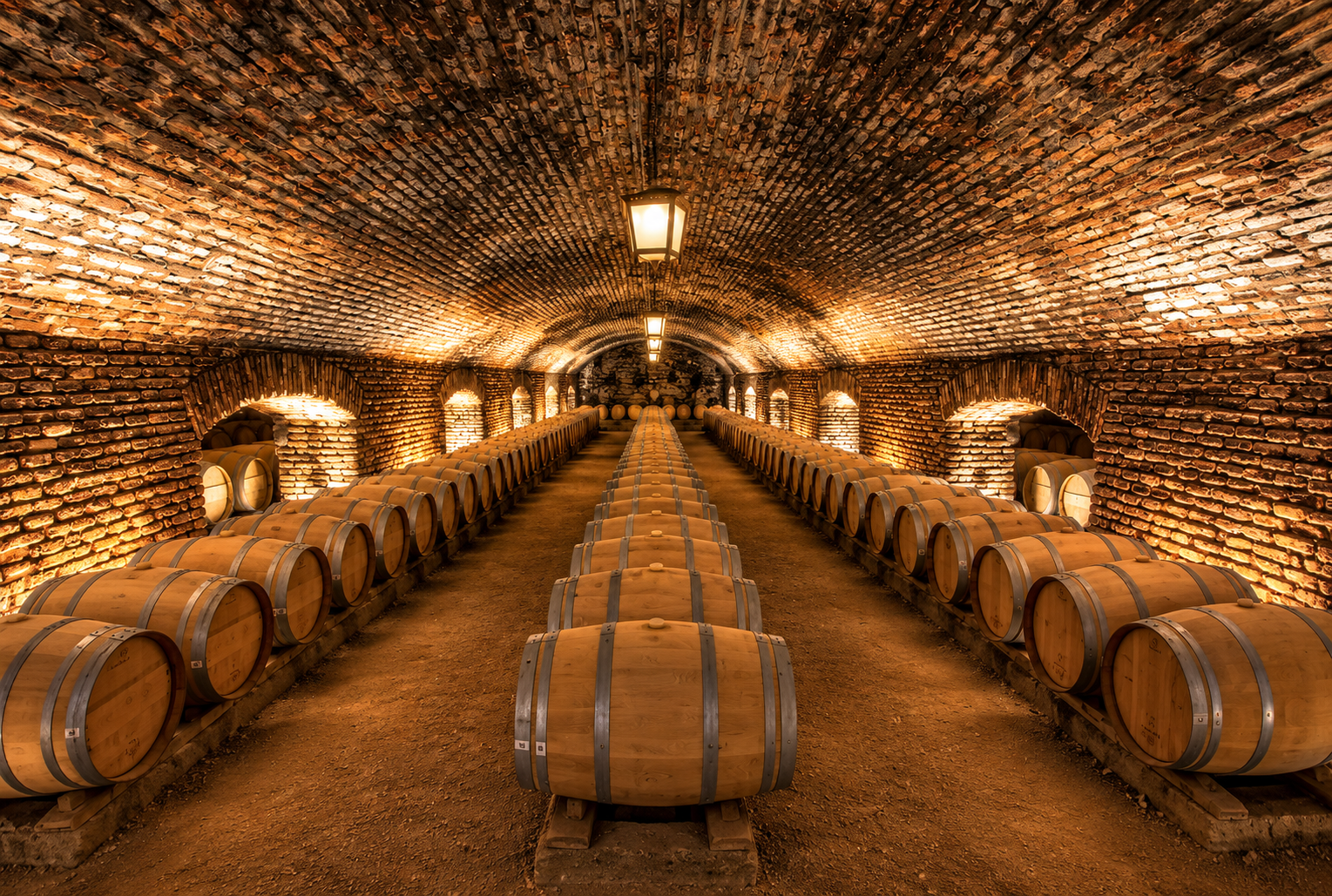 Concha y Toro – Tour Tradicional 5