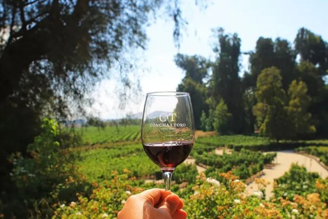 Concha y Toro – Tour Tradicional 1