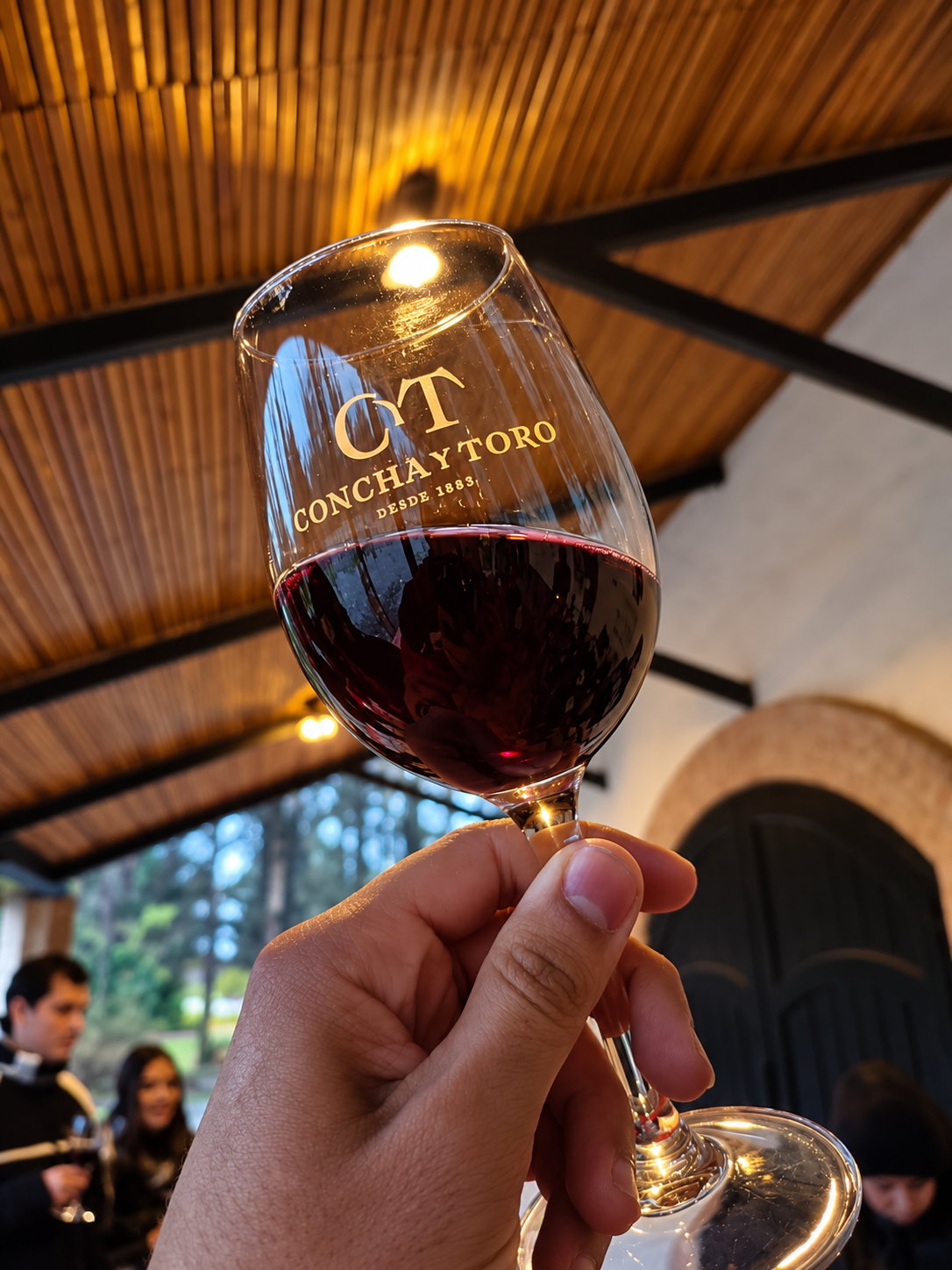 Concha y Toro – Tour Tradicional 6