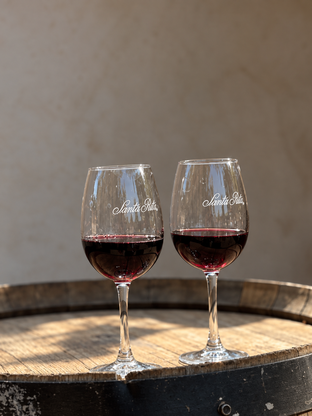 Viña Santa Rita - Tour Clássico 3
