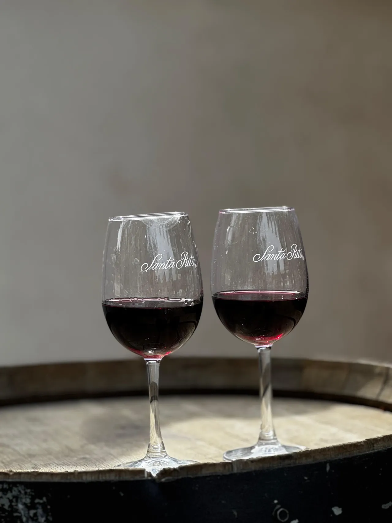 Santa Rita Winery - Classic Tour 2