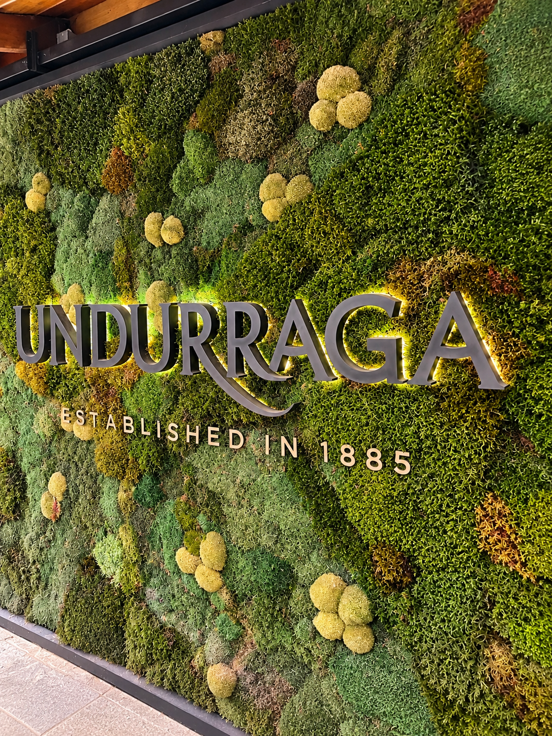 Isla Negra, Algarrobo + Undurraga Winery 4