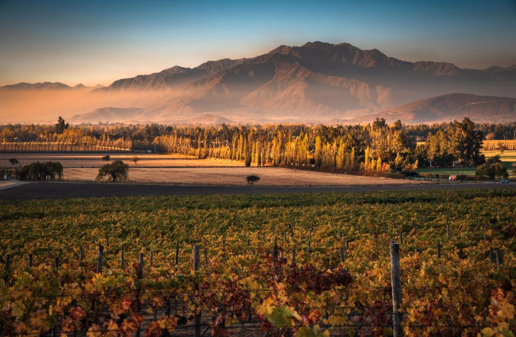 Haras de Pirque Sunset & Dinner 4
