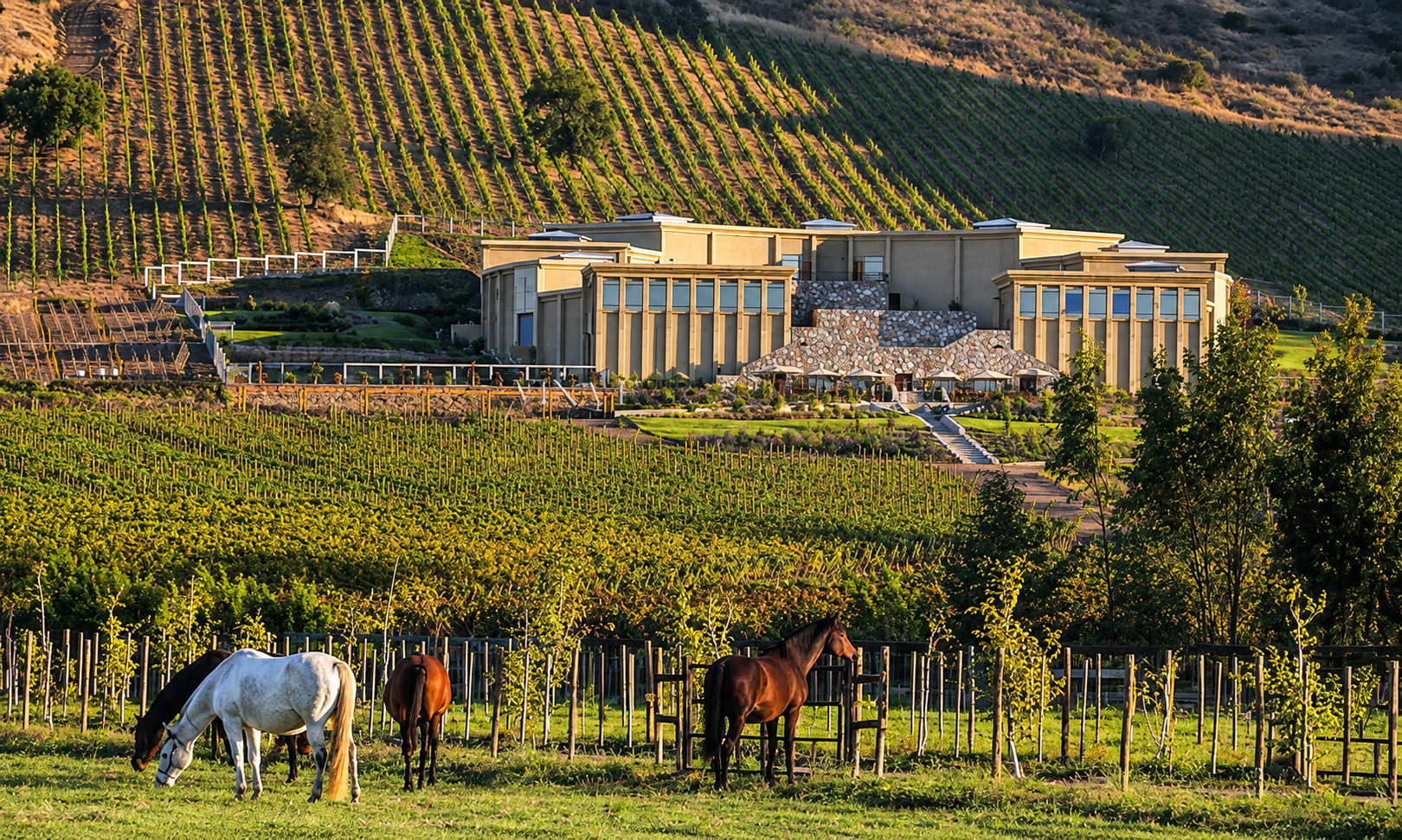 Haras de Pirque Pôr do Sol e Jantar 1