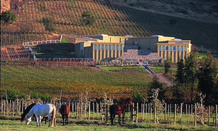 Haras de Pirque Atardecer y Cena 1