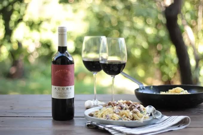 Gran Wine Experience – Casablanca Valley 5