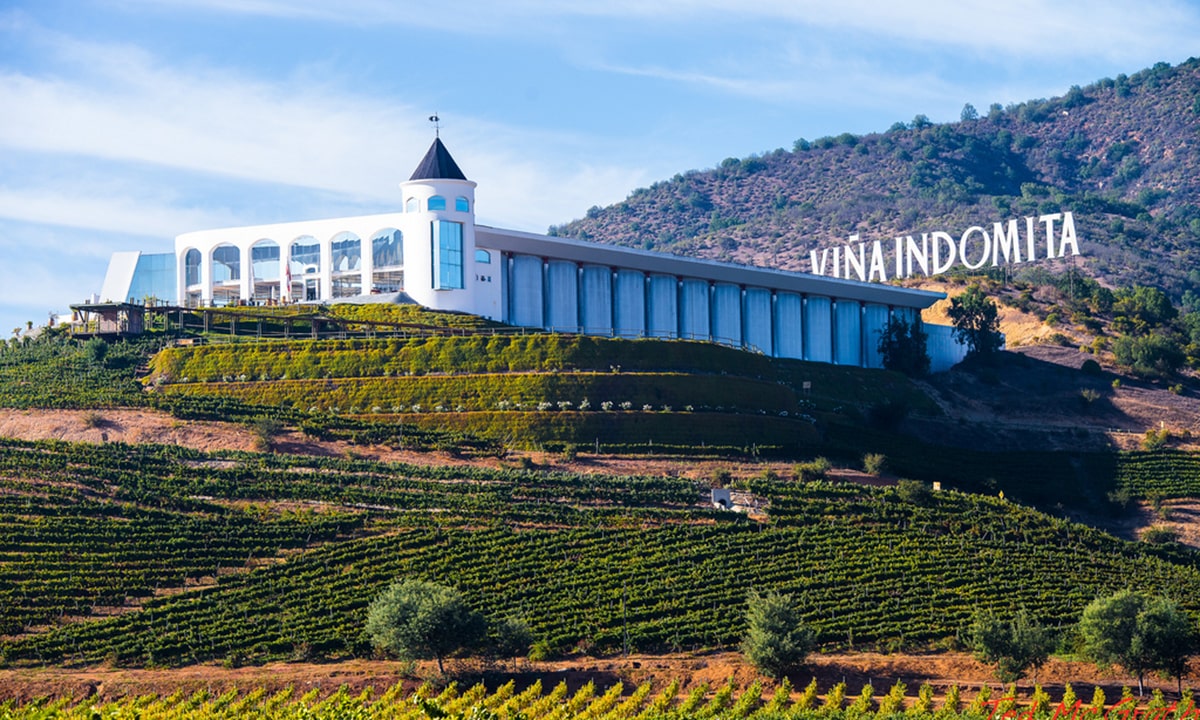 Gran Wine Experience – Casablanca Valley 1