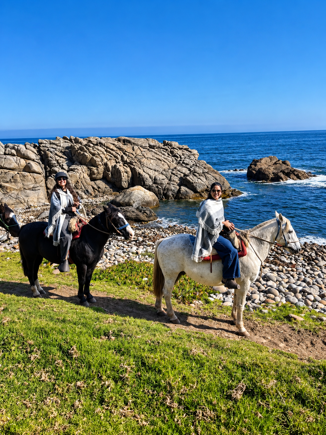 Cabalgata en Zapallar y Papudo + Navegación a la Isla de los Pingüinos 1