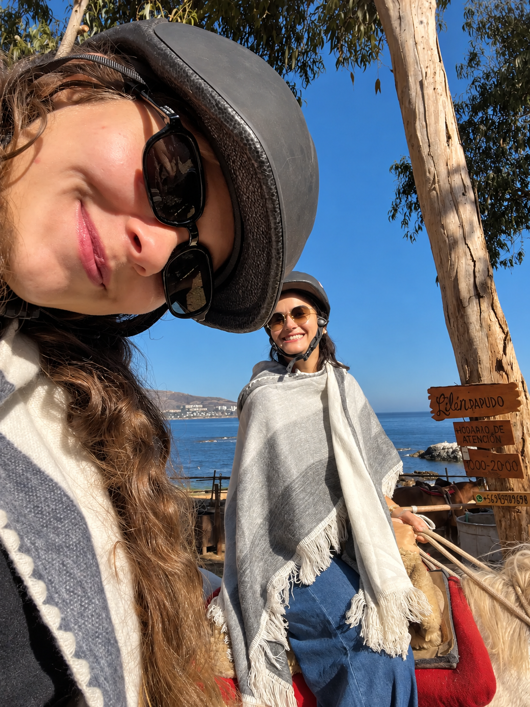 Horseback Riding in Zapallar and Papudo + Navigation to Penguin Island 7