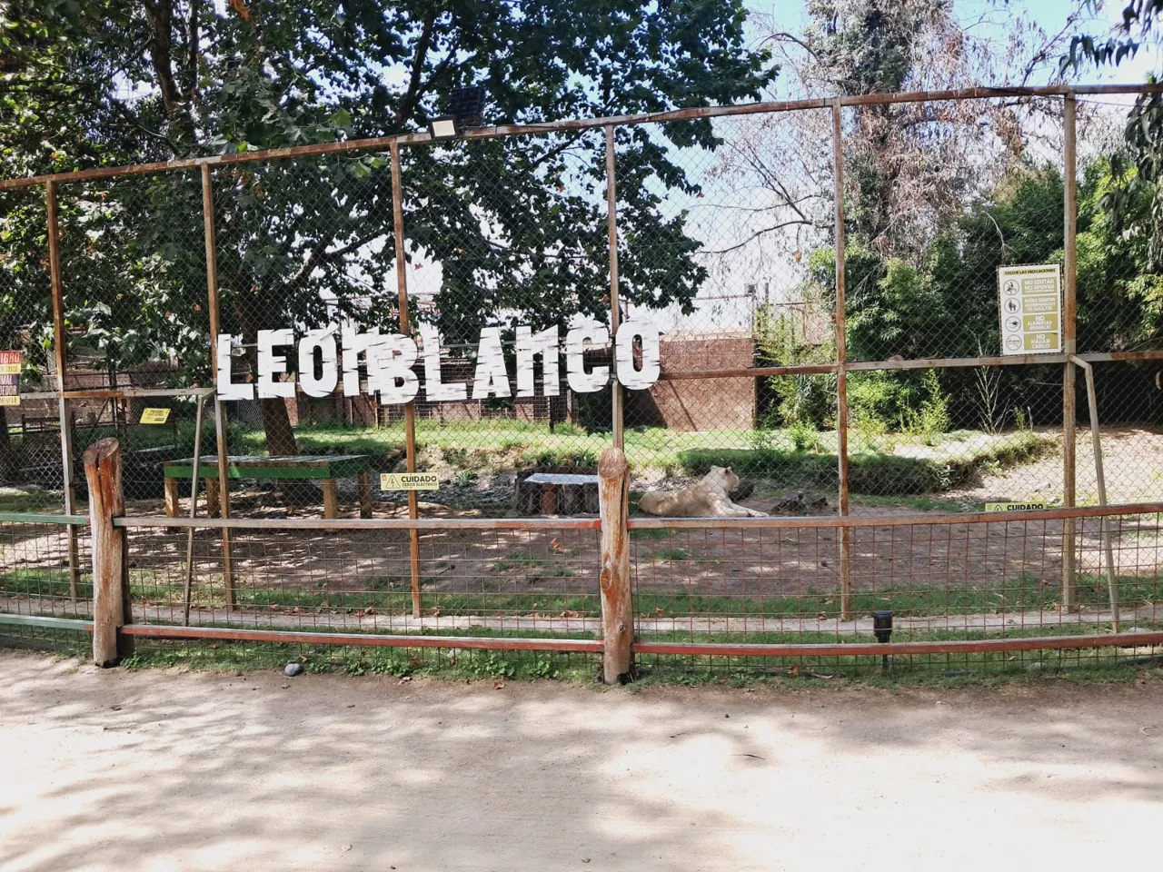 Safari Park 3
