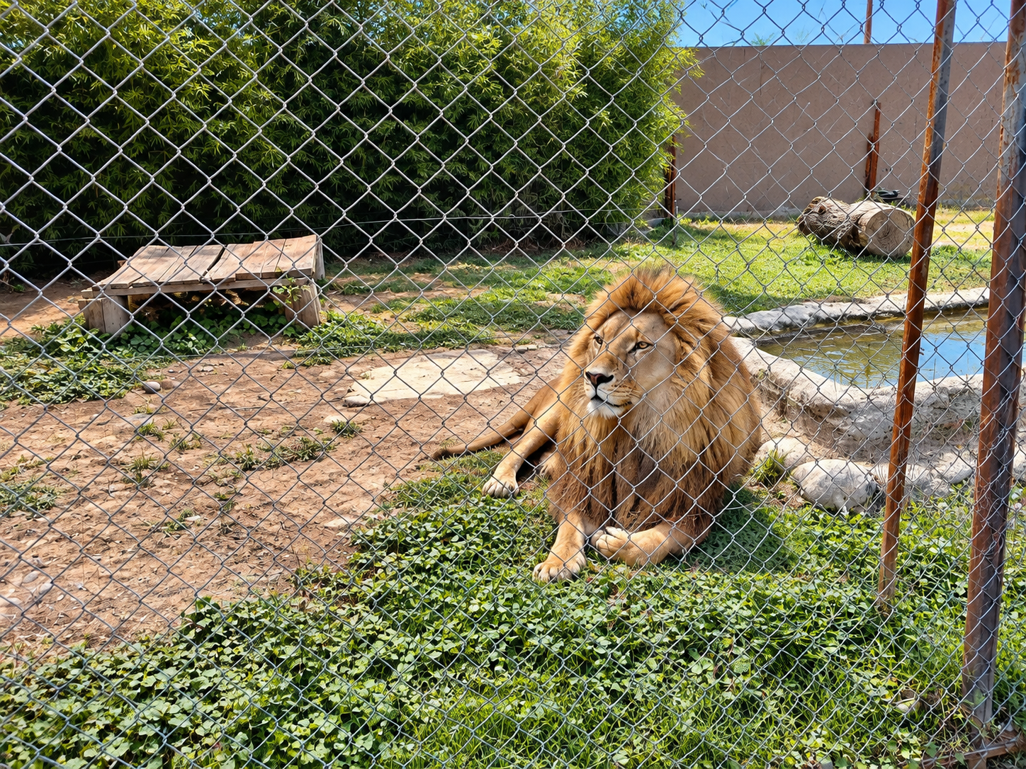 Safari Park 1