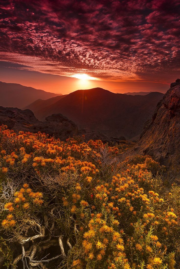 Cordilheira Sunset 2