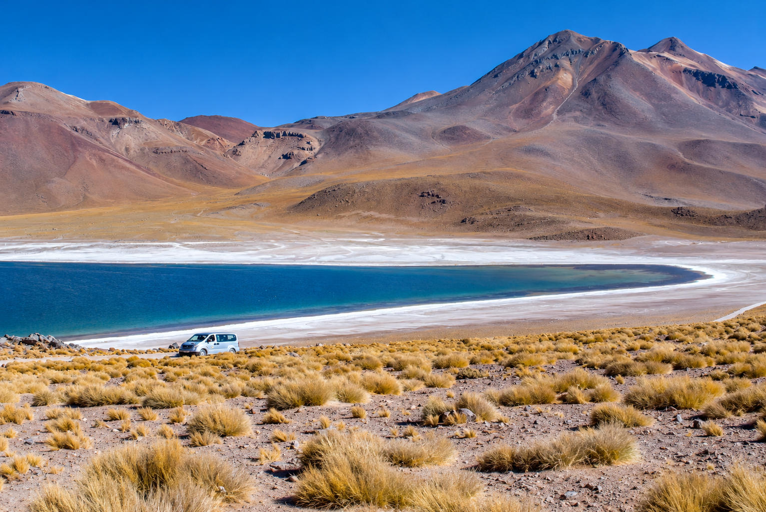 Lagunas Altiplánicas y Salar de Atacama 3