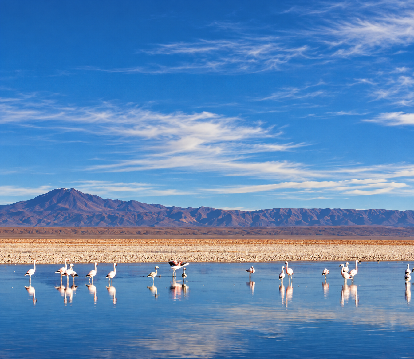 Lagunas Altiplánicas y Salar de Atacama 1