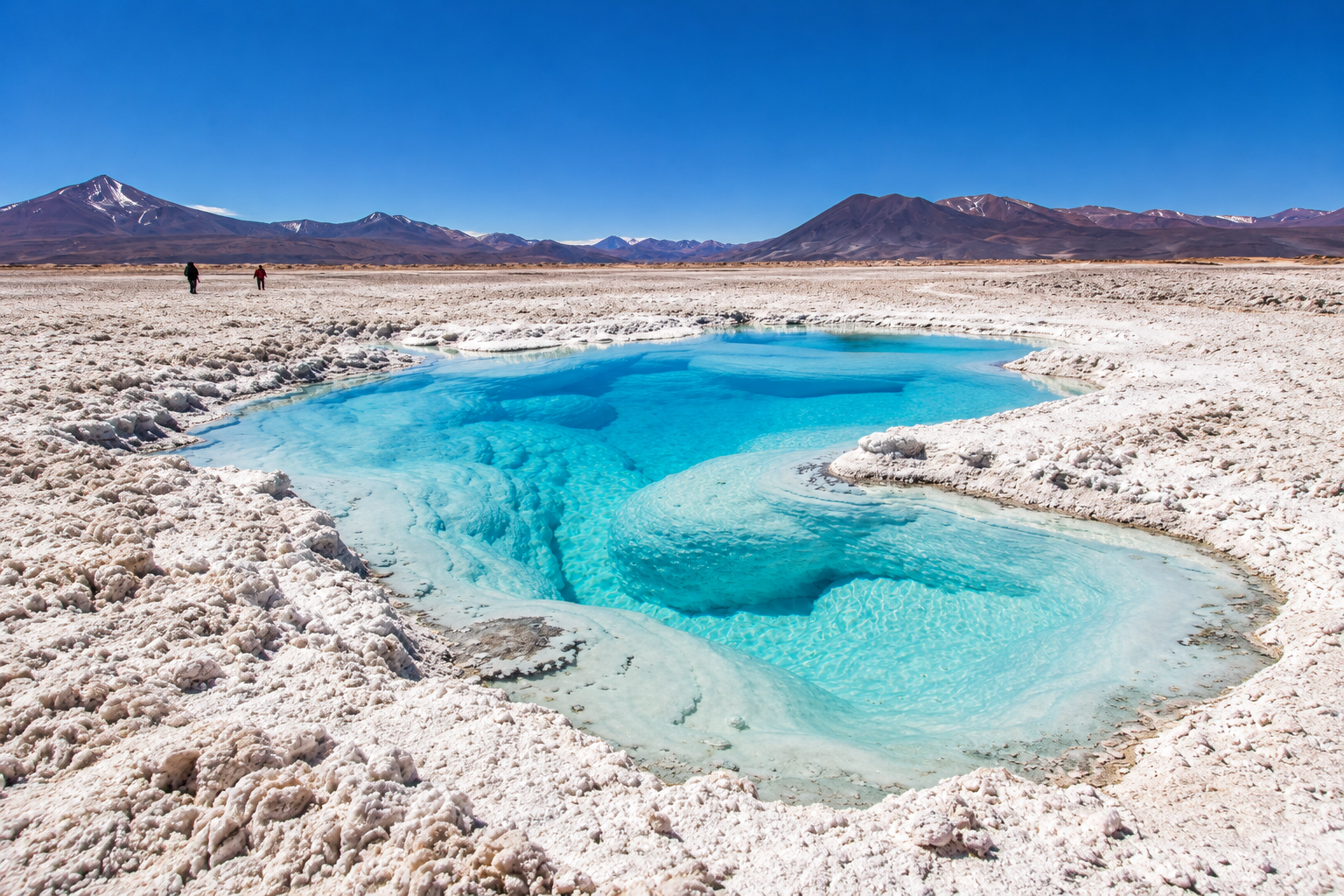 Lagunas Altiplánicas y Salar de Atacama 2